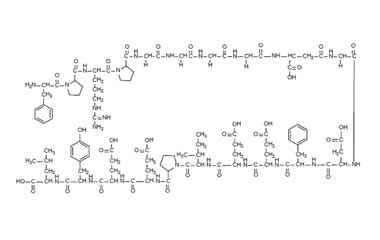 PA PEP 000620