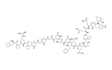 PA PEP 000621