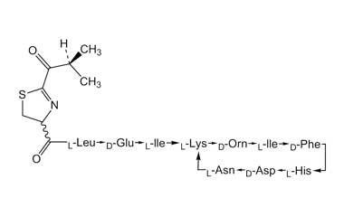 PA PEP 000627