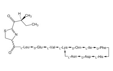 PA PEP 000629