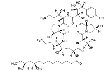 PA PEP 000637