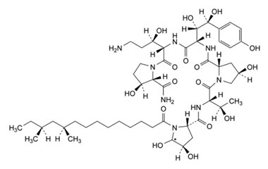 PA PEP 000638