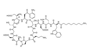 PA PEP 000646