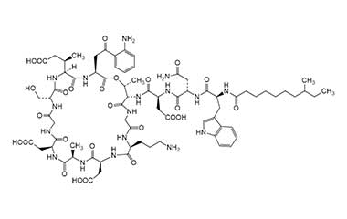 PA PEP 000647