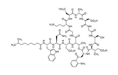 PA PEP 000648