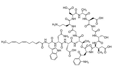 PA PEP 000655