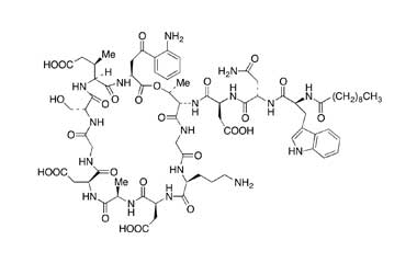 PA PEP 000662