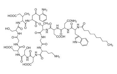 PA PEP 000664