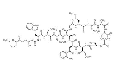 PA PEP 000671