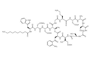 PA PEP 000675