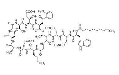 PA PEP 000685