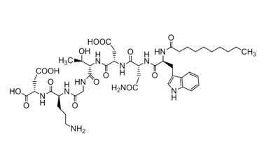 PA PEP 000689