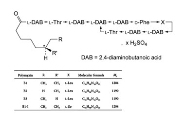 PA PEP 000716