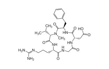 PA PEP 000783