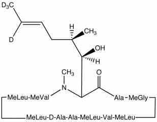 PA PEP 000800