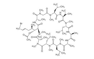 PA PEP 000848