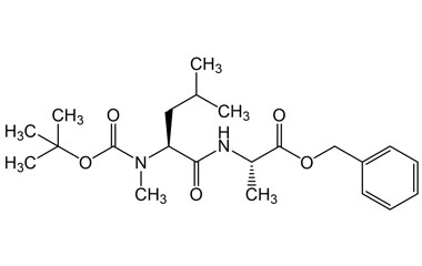 PA PEP 000855