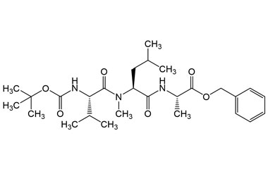 PA PEP 000857