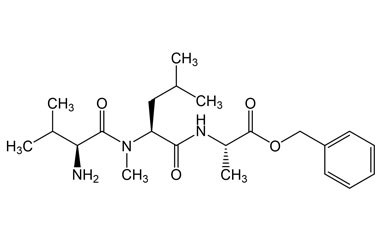 PA PEP 000858