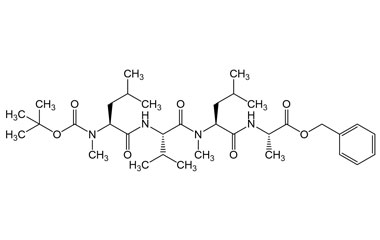 PA PEP 000859