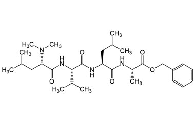 PA PEP 000860