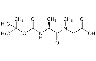 PA PEP 000862