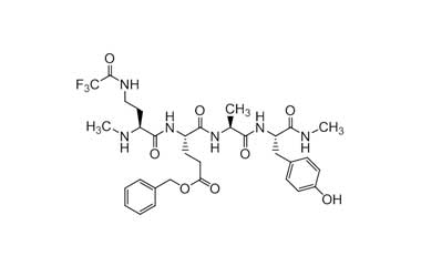 PA PEP 000863