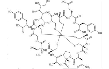 PA PEP 000892