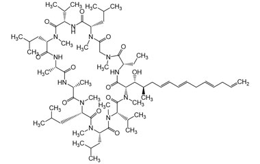 PA PEP 000894