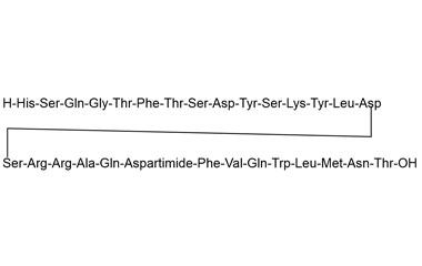 PA PEP 000934