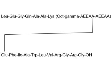 PA PEP 000944