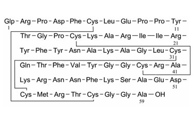 PA PEP 000949