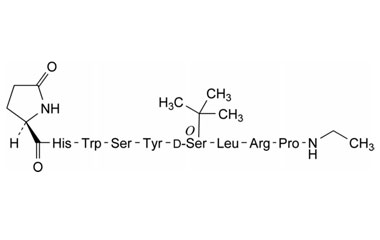 PA PEP 000954