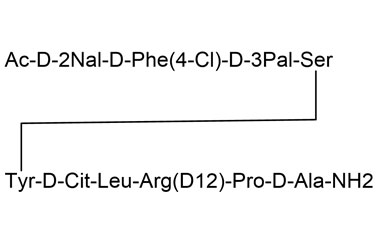 PA PEP 000962