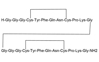 PA PEP 000963