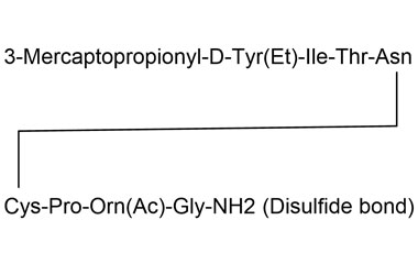 PA PEP 000978