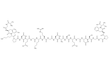 PA PEP 001317