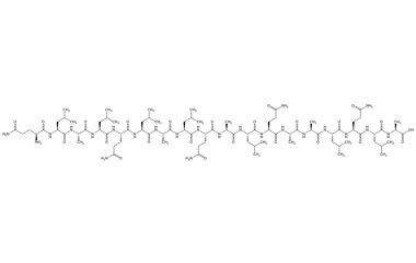 PA PEP 002204
