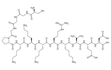 PA PEP 002251