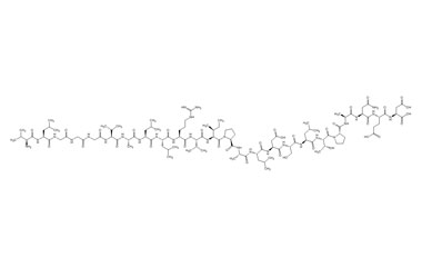 PA PEP 002412
