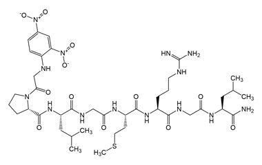 PA PEP 002504