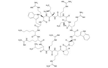PA PEP 002505