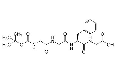 PA PEP 002510