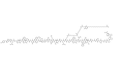 PA PEP 002601