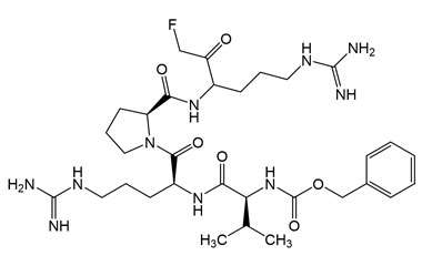 PA PEP 002667