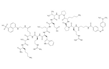 PA PEP 002754