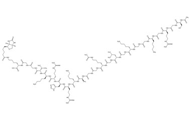 PA PEP 002774