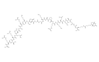 PA PEP 002775