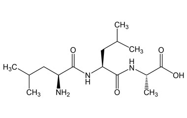 PA PEP 002791