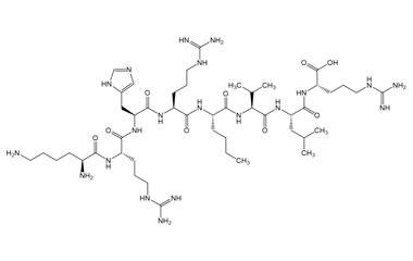 PA PEP 002804